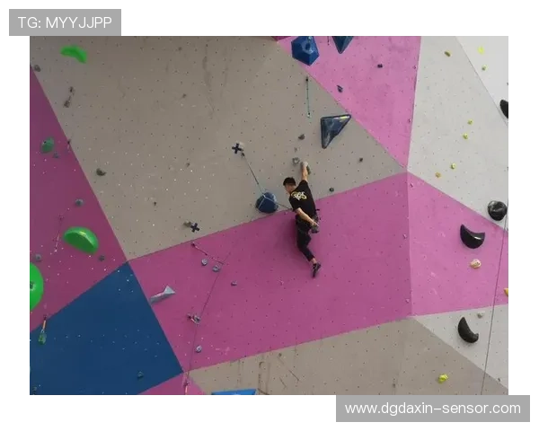 攀岩之巅：深入上海攀岩队的训练与精神世界